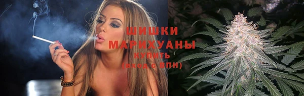 индика Бугульма