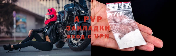 ешки Бородино