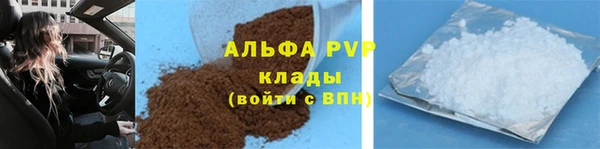 индика Бугульма