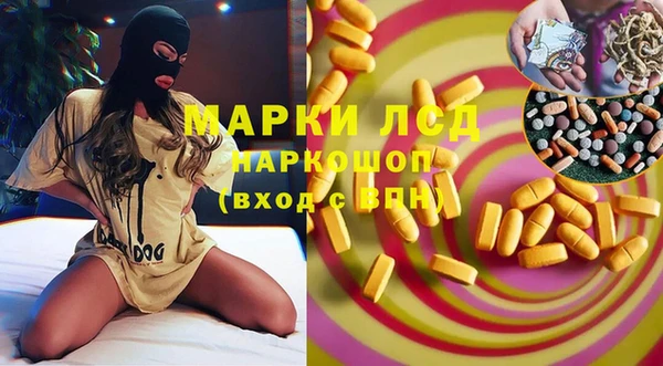 ешки Бородино