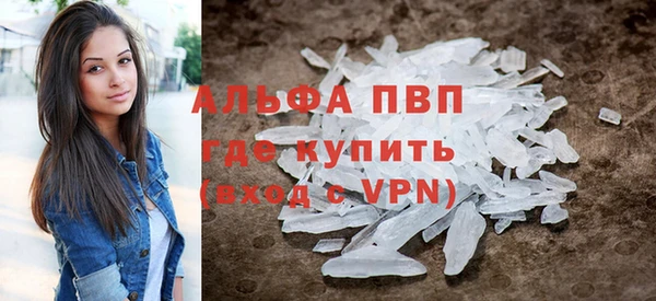 ешки Бородино