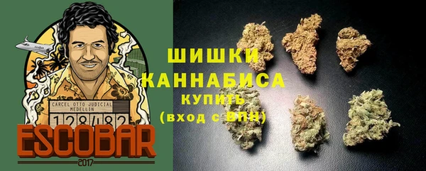 индика Бугульма