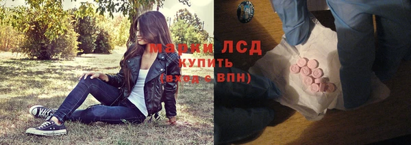 индика Бугульма