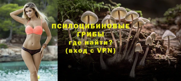 индика Бугульма