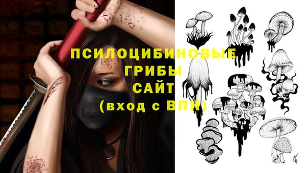 индика Бугульма