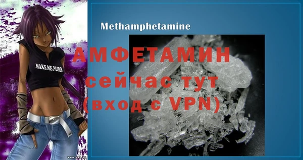 индика Бугульма