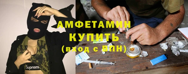 ешки Бородино