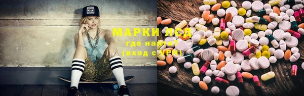 ешки Бородино